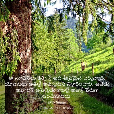 Picture 03 - లేవీకాండం 13:11 TELIRV - ఈ సూచనలు - Bible Verse Picture