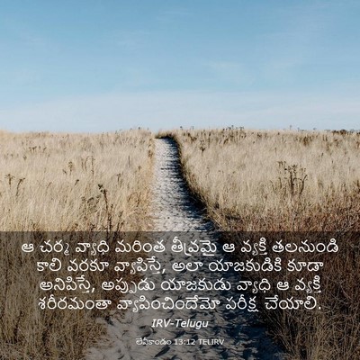 Picture 03 - లేవీకాండం 13:12 TELIRV - ఆ చర్మ వ్యాధి - Bible Verse Picture
