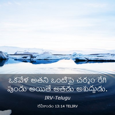 Picture 03 - లేవీకాండం 13:14 TELIRV - ఒకవేళ అతని ఒంటిపై - Bible Verse Picture