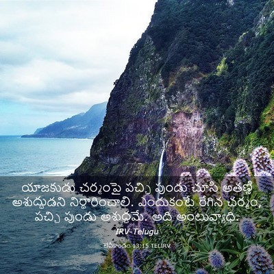 Picture 03 - లేవీకాండం 13:15 TELIRV - యాజకుడు చర్మంపై - Bible Verse Picture