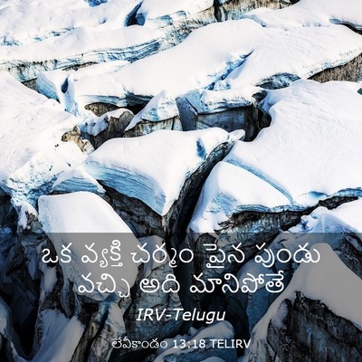 Picture 03 - లేవీకాండం 13:18 TELIRV - ఒక వ్యక్తి చర్మం - Bible Verse Picture