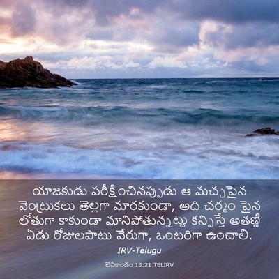 Picture 03 - లేవీకాండం 13:21 TELIRV - యాజకుడు - Bible Verse Picture