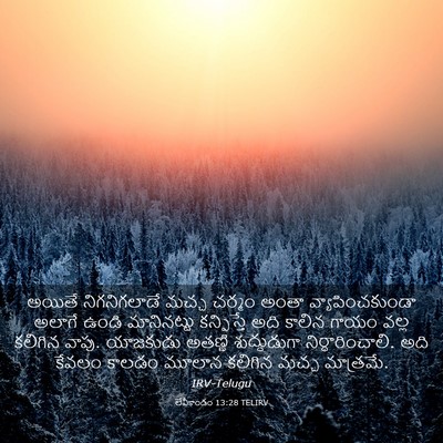 Picture 03 - లేవీకాండం 13:28 TELIRV - అయితే నిగనిగలాడే - Bible Verse Picture