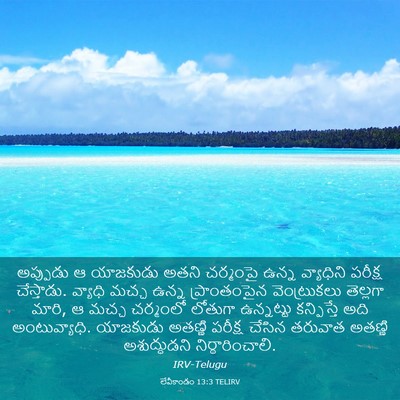 Picture 03 - లేవీకాండం 13:3 TELIRV - అప్పుడు ఆ యాజకుడు - Bible Verse Picture