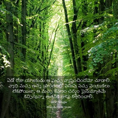 Picture 03 - లేవీకాండం 13:32 TELIRV - ఏడో రోజు యాజకుడు ఆ - Bible Verse Picture