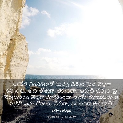 Picture 03 - లేవీకాండం 13:4 TELIRV - ఒకవేళ నిగనిగలాడే - Bible Verse Picture