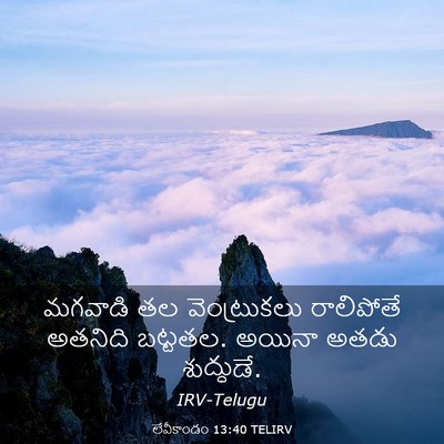 Picture 03 - లేవీకాండం 13:40 TELIRV - మగవాడి తల - Bible Verse Picture