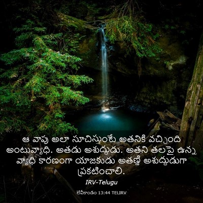 Picture 03 - లేవీకాండం 13:44 TELIRV - ఆ వాపు అలా - Bible Verse Picture