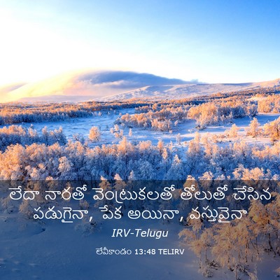 Picture 03 - లేవీకాండం 13:48 TELIRV - లేదా నారతో - Bible Verse Picture