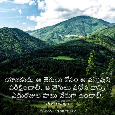 Picture 03 - లేవీకాండం 13:50 TELIRV - యాజకుడు ఆ తెగులు - Bible Verse Picture