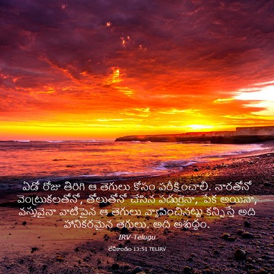 Picture 03 - లేవీకాండం 13:51 TELIRV - ఏడో రోజు తిరిగి ఆ - Bible Verse Picture