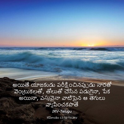 Picture 03 - లేవీకాండం 13:53 TELIRV - అయితే యాజకుడు - Bible Verse Picture