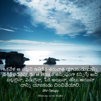 Picture 03 - లేవీకాండం 13:56 TELIRV - ఒకవేళ ఆ బట్టని - Bible Verse Picture
