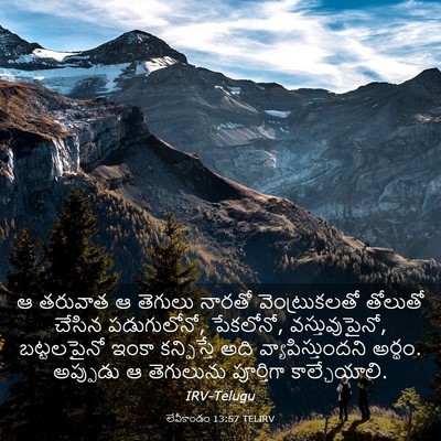 Picture 03 - లేవీకాండం 13:57 TELIRV - ఆ తరువాత ఆ తెగులు - Bible Verse Picture