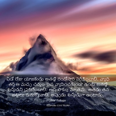 Picture 03 - లేవీకాండం 13:6 TELIRV - ఏడో రోజు యాజకుడు - Bible Verse Picture