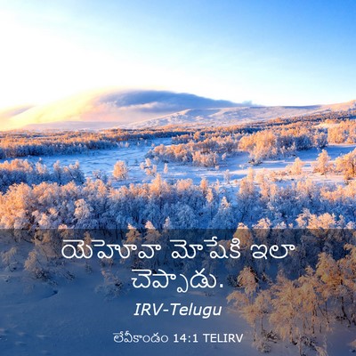 Picture 03 - లేవీకాండం 14:1 TELIRV - యెహోవా మోషేకి ఇలా - Bible Verse Picture