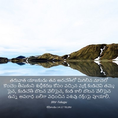 Picture 03 - లేవీకాండం 14:17 TELIRV - తరువాత యాజకుడు తన - Bible Verse Picture