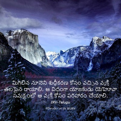 Picture 03 - లేవీకాండం 14:18 TELIRV - మిగిలిన నూనెని - Bible Verse Picture