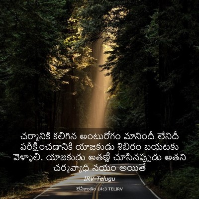 Picture 03 - లేవీకాండం 14:3 TELIRV - చర్మానికి కలిగిన - Bible Verse Picture
