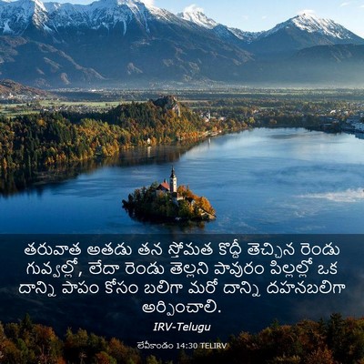 Picture 03 - లేవీకాండం 14:30 TELIRV - తరువాత అతడు తన - Bible Verse Picture