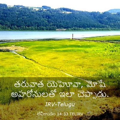 Picture 03 - లేవీకాండం 14:33 TELIRV - తరువాత యెహోవా, - Bible Verse Picture