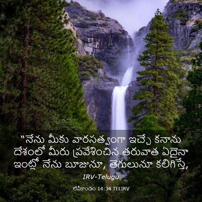 Picture 03 - లేవీకాండం 14:34 TELIRV - “నేను మీకు - Bible Verse Picture