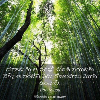 Picture 03 - లేవీకాండం 14:38 TELIRV - యాజకుడు ఆ ఇంట్లో - Bible Verse Picture