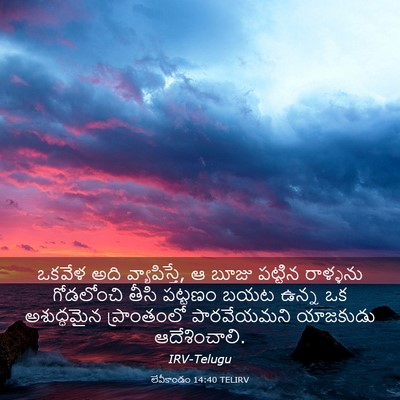 Picture 03 - లేవీకాండం 14:40 TELIRV - ఒకవేళ అది - Bible Verse Picture