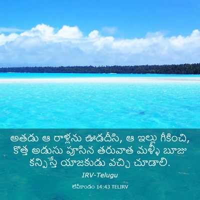 Picture 03 - లేవీకాండం 14:43 TELIRV - అతడు ఆ రాళ్లను - Bible Verse Picture