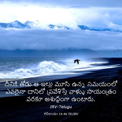 Picture 03 - లేవీకాండం 14:46 TELIRV - దీనికి తోడు ఆ - Bible Verse Picture