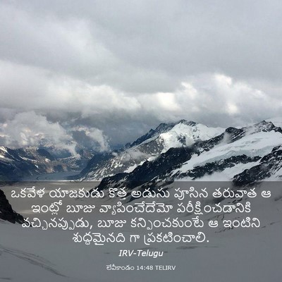 Picture 03 - లేవీకాండం 14:48 TELIRV - ఒకవేళ యాజకుడు - Bible Verse Picture