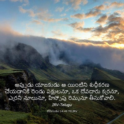 Picture 03 - లేవీకాండం 14:49 TELIRV - అప్పుడు యాజకుడు ఆ - Bible Verse Picture