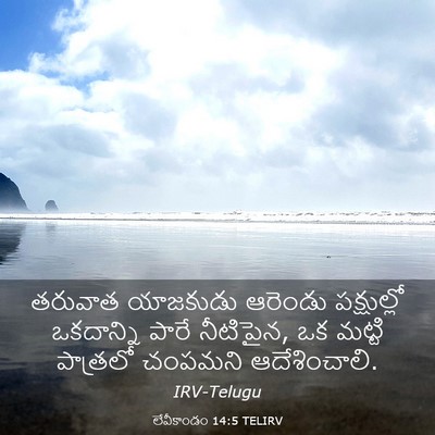 Picture 03 - లేవీకాండం 14:5 TELIRV - తరువాత యాజకుడు - Bible Verse Picture