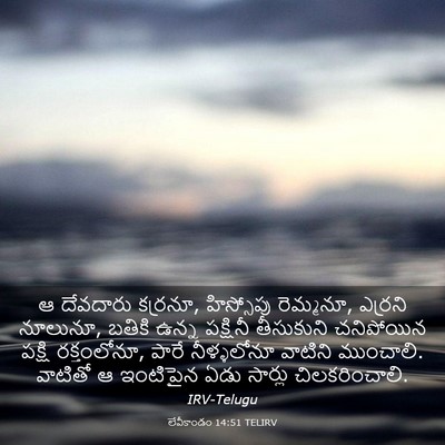 Picture 03 - లేవీకాండం 14:51 TELIRV - ఆ దేవదారు కర్రనూ, - Bible Verse Picture