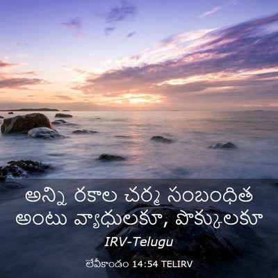 Picture 03 - లేవీకాండం 14:54 TELIRV - అన్ని రకాల చర్మ - Bible Verse Picture