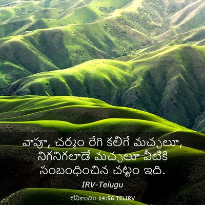 Picture 03 - లేవీకాండం 14:56 TELIRV - వాపూ, చర్మం రేగి - Bible Verse Picture