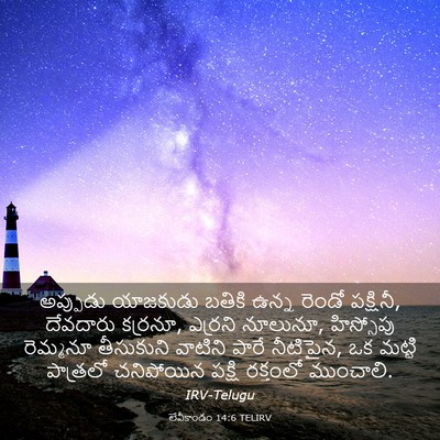 Picture 03 - లేవీకాండం 14:6 TELIRV - అప్పుడు యాజకుడు - Bible Verse Picture