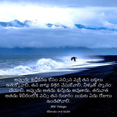 Picture 03 - లేవీకాండం 14:8 TELIRV - అప్పుడు శుద్ధీకరణ - Bible Verse Picture