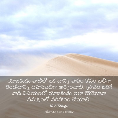 Picture 03 - లేవీకాండం 15:15 TELIRV - యాజకుడు వాటిలో ఒక - Bible Verse Picture