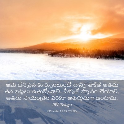 Picture 03 - లేవీకాండం 15:22 TELIRV - ఆమె దేనిపైన - Bible Verse Picture