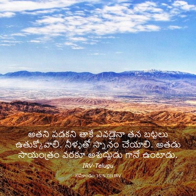 Picture 03 - లేవీకాండం 15:5 TELIRV - అతని పడకని తాకే - Bible Verse Picture