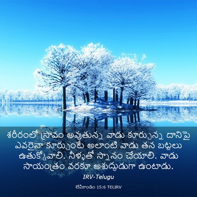 Picture 03 - లేవీకాండం 15:6 TELIRV - శరీరంలో స్రావం - Bible Verse Picture