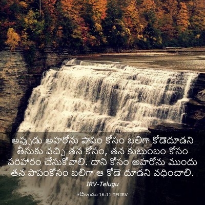 Picture 03 - లేవీకాండం 16:11 TELIRV - అప్పుడు అహరోను - Bible Verse Picture