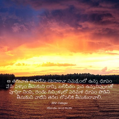 Picture 03 - లేవీకాండం 16:12 TELIRV - ఆ తరువాత అహరోను - Bible Verse Picture