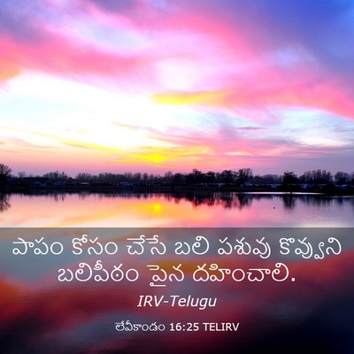 Picture 03 - లేవీకాండం 16:25 TELIRV - పాపం కోసం చేసే బలి - Bible Verse Picture