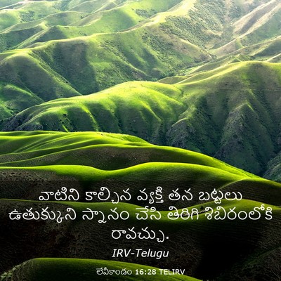 Picture 03 - లేవీకాండం 16:28 TELIRV - వాటిని కాల్చిన - Bible Verse Picture
