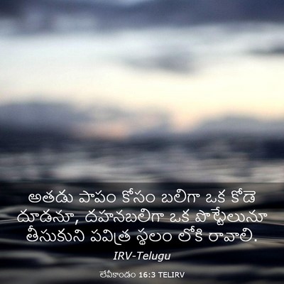 Picture 03 - లేవీకాండం 16:3 TELIRV - అతడు పాపం కోసం - Bible Verse Picture