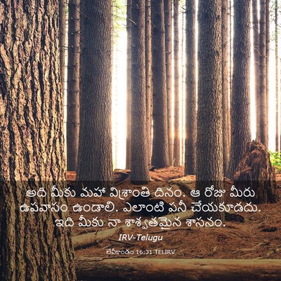 Picture 03 - లేవీకాండం 16:31 TELIRV - అది మీకు మహా - Bible Verse Picture