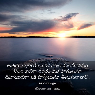 Picture 03 - లేవీకాండం 16:5 TELIRV - అతడు ఇశ్రాయేలు - Bible Verse Picture