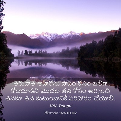 Picture 03 - లేవీకాండం 16:6 TELIRV - తరువాత అహరోను - Bible Verse Picture